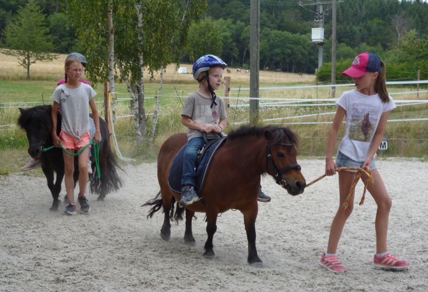 Aufmarsch der Shetlandponys Elsa und Anna mit ihren Reitern